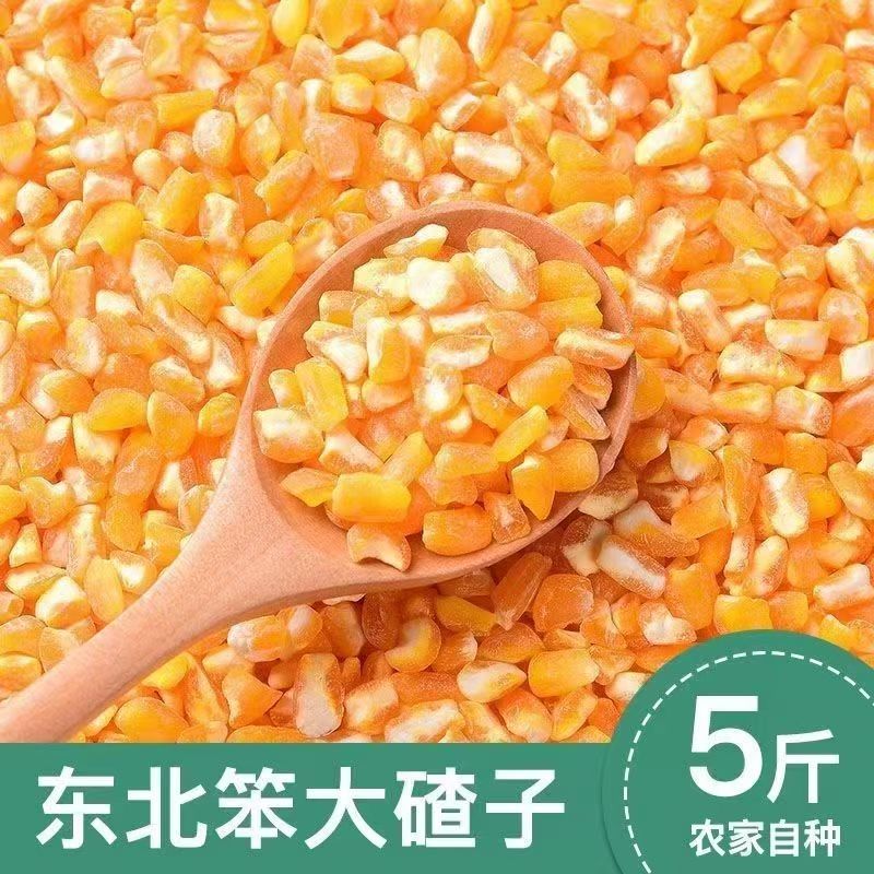 XL【11.9到手五斤】2新玉米大碴子5斤现农家自产五谷杂粮粗粮煮粥 到手价¥11.90