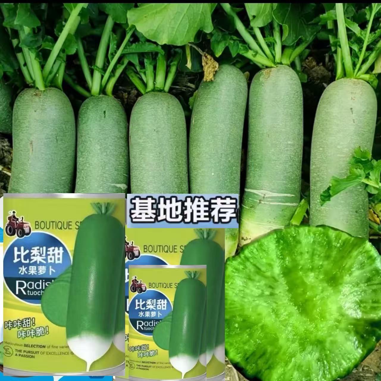 冰糖脆水果萝卜种子20克 图片 3