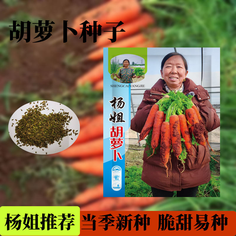 棵美【生菜杨姐推荐胡萝卜种子】生吃脆甜四季田园胡萝卜种子 到手价¥9.90