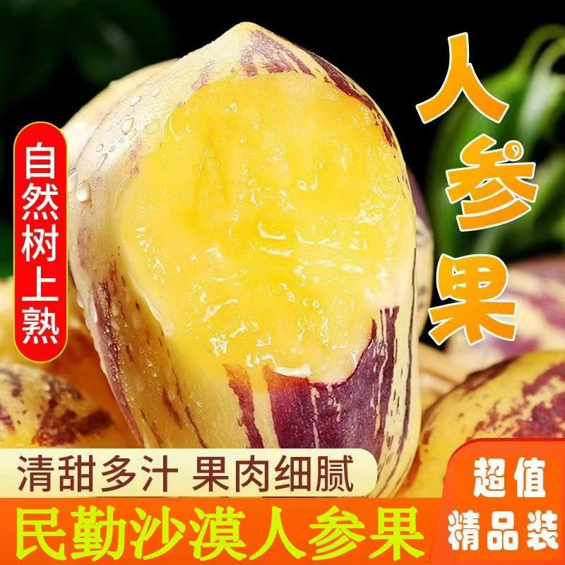【产地直发】甘肃民勤沙漠人参果新鲜采摘树上熟现货包邮 到手价¥16.50