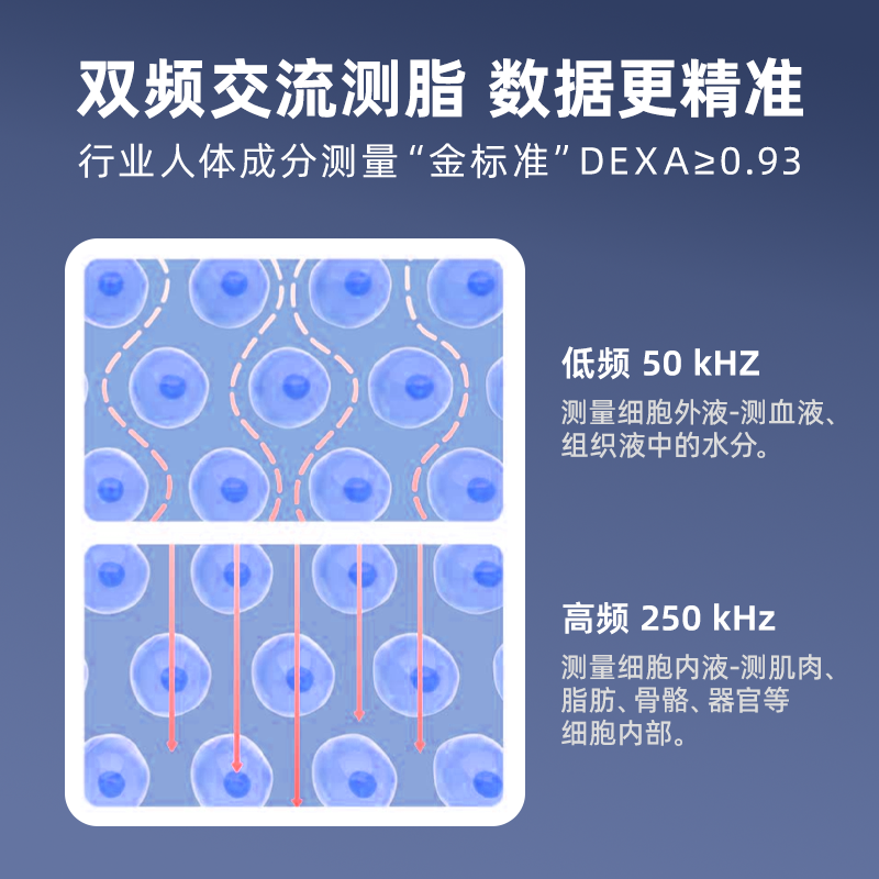 LEFU乐福光能自动充电精准人体秤专业体脂秤家用电子秤高精度秤 图片 6