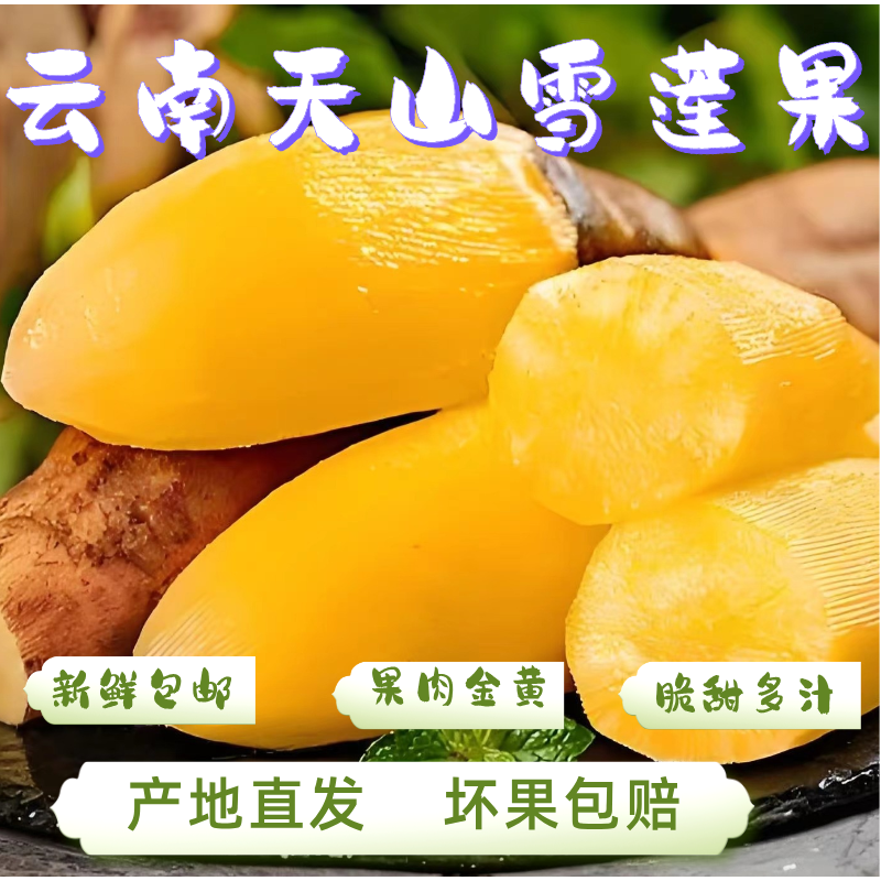 HX【彩箱长果】正宗云南天山雪莲果5斤当季新鲜水果清甜现挖现发 到手价¥19.90