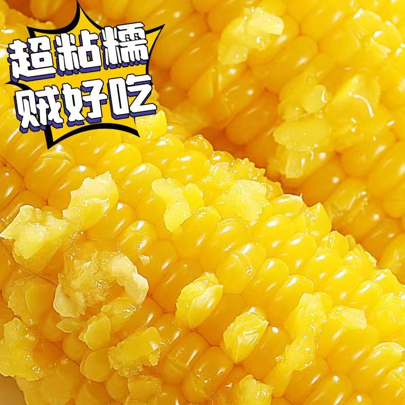 2026头茬新黄糯玉米整箱10根/6斤/单根280g以上 到手价¥25.80