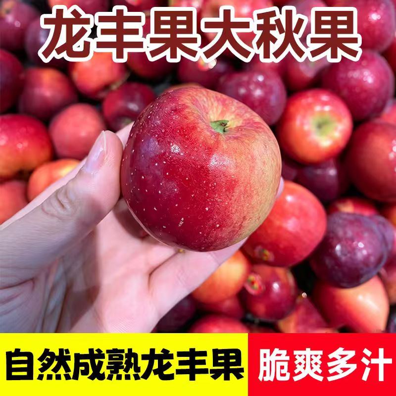 【限时补贴】东北龙丰果酸甜脆新鲜采摘产地直发Ww 到手价¥16.90