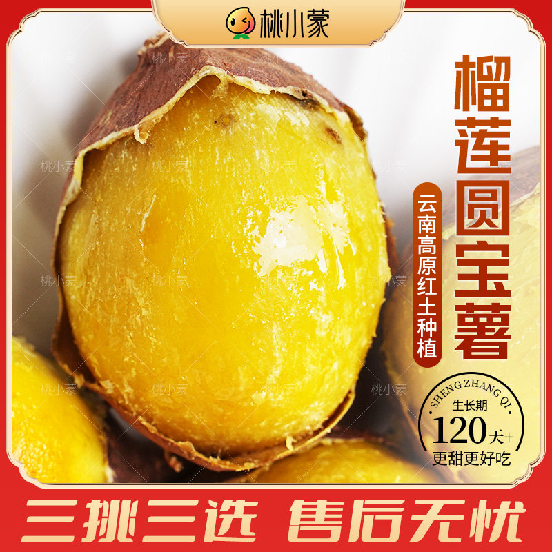 桃小蒙金海汀甜榴莲蜜薯圆宝薯新鲜番薯黄心地瓜红薯产地直发 图片 8