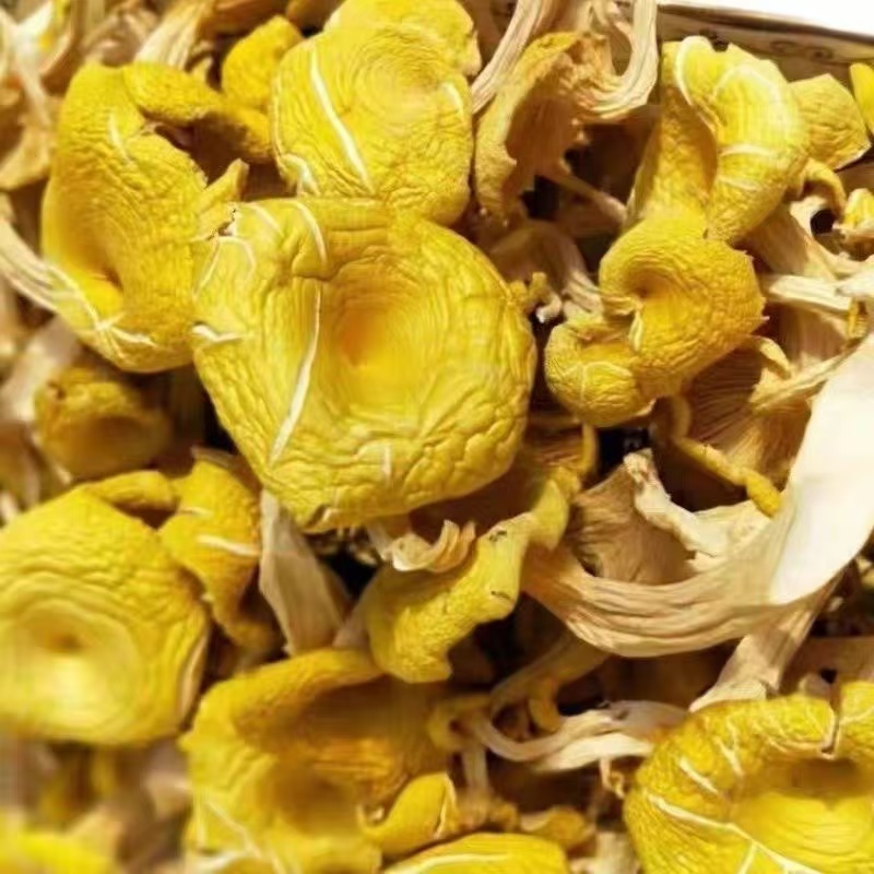 DM【17.5抢半斤/33.9抢1斤】榆黄蘑菇干货农家自晒菌汤包食用煲汤 到手价¥17.50