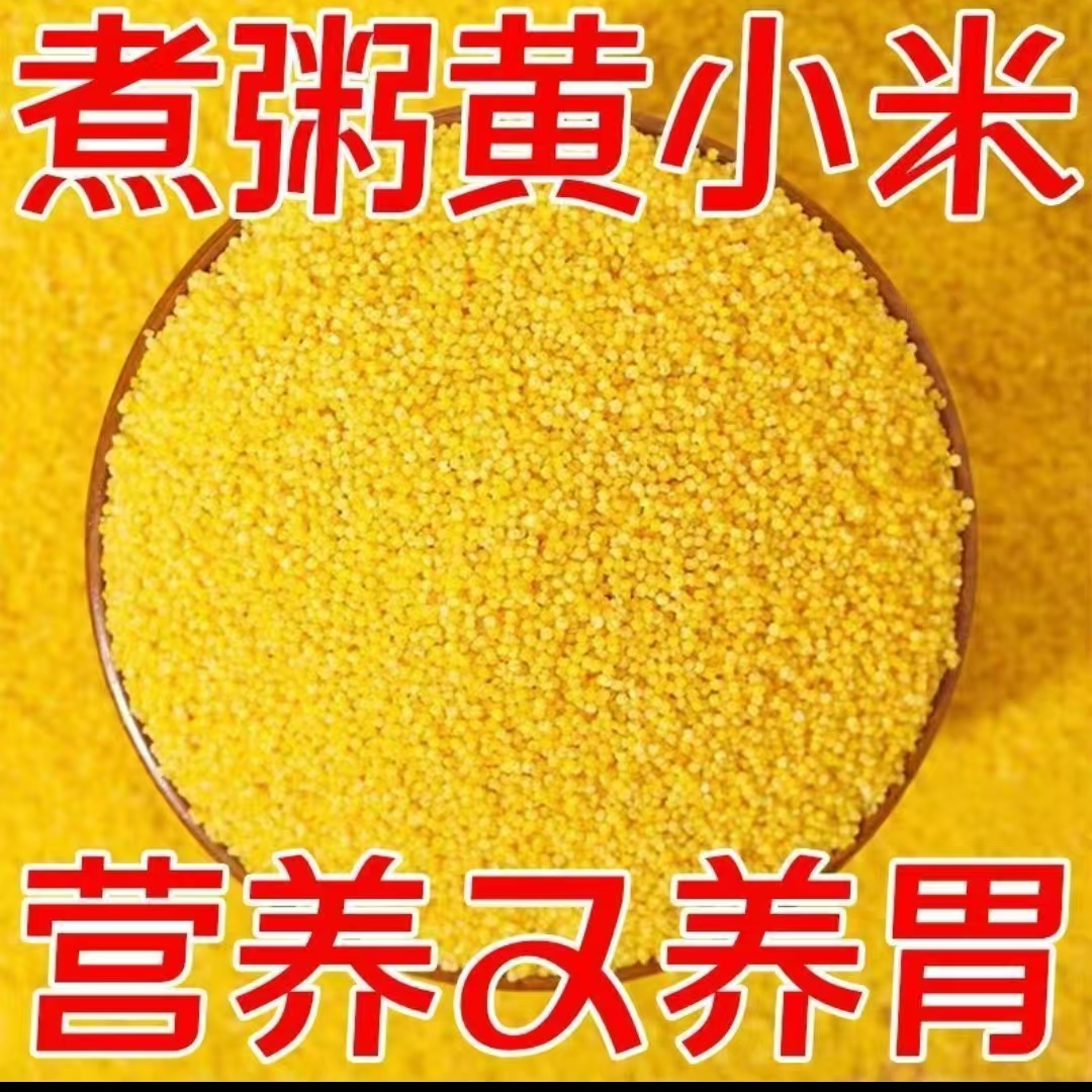 天山小米颗粒饱满色泽金黄黄小米 到手价¥22.99