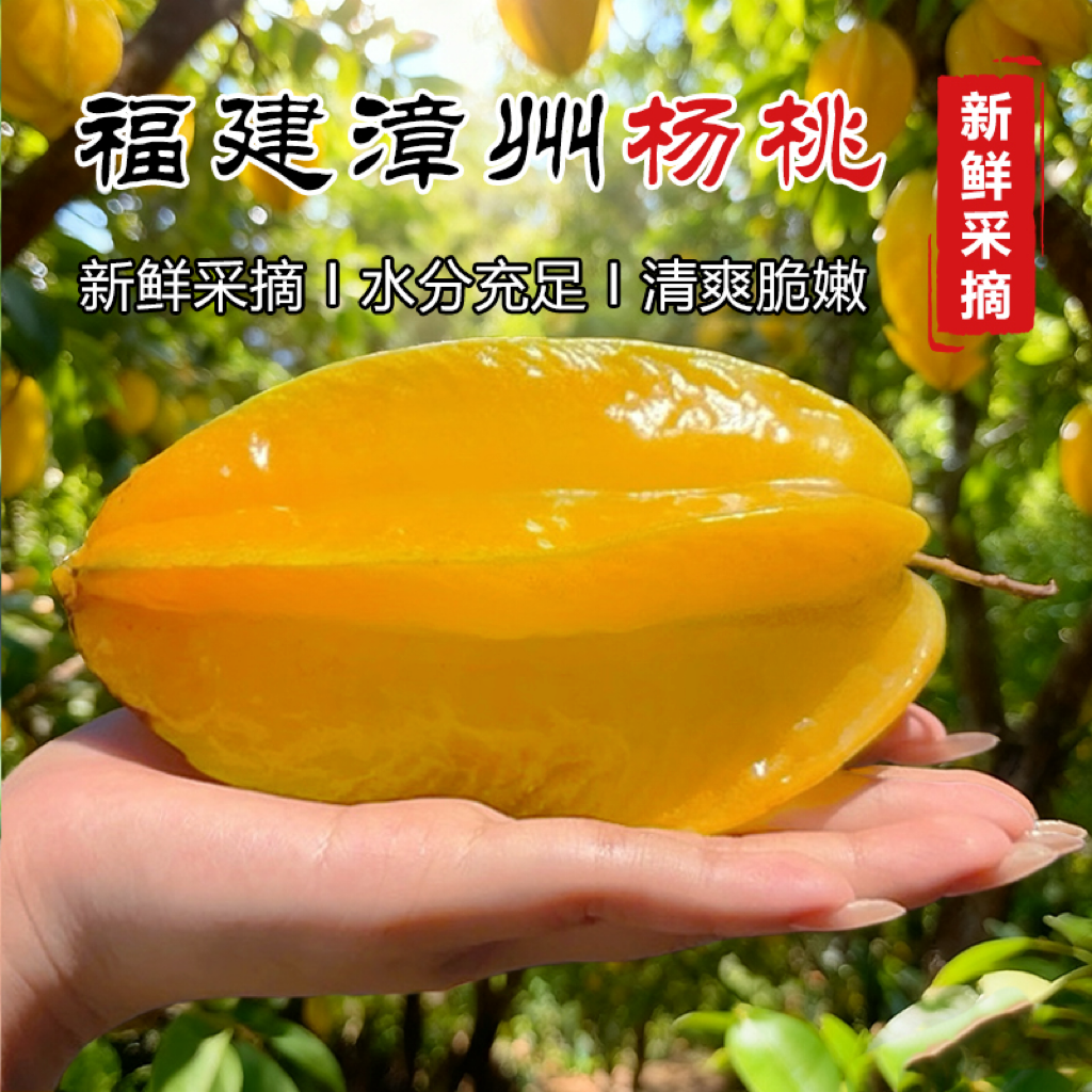 漳州树熟杨桃清甜皮薄多汁果肉香甜成熟上市新鲜发货现摘先发 到手价¥18.80