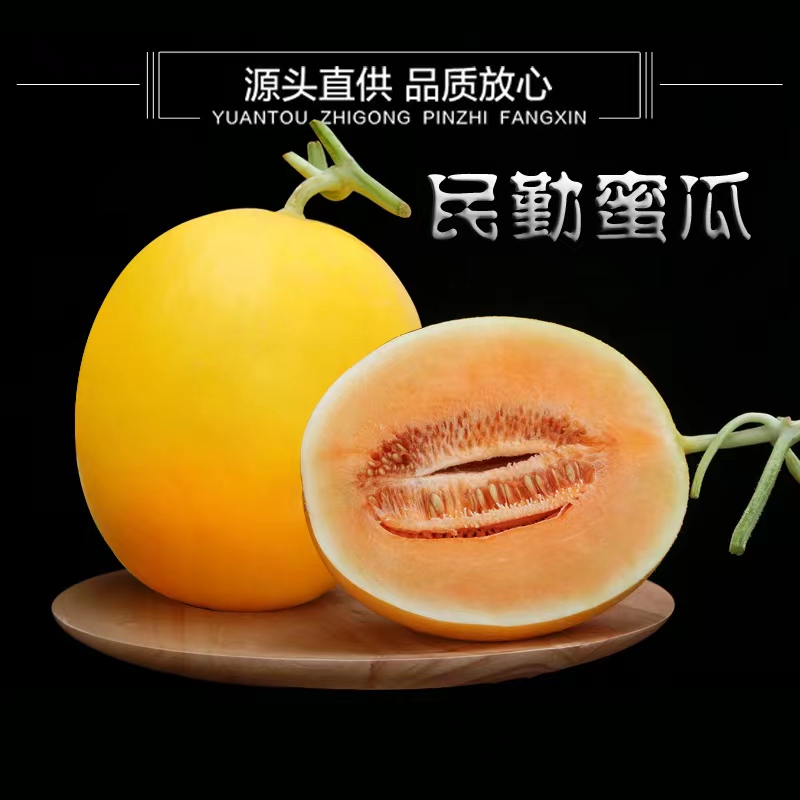 【产地直发】甘肃民勤沙漠黄金蜜瓜新鲜采摘坏果包赔z 到手价¥19.90