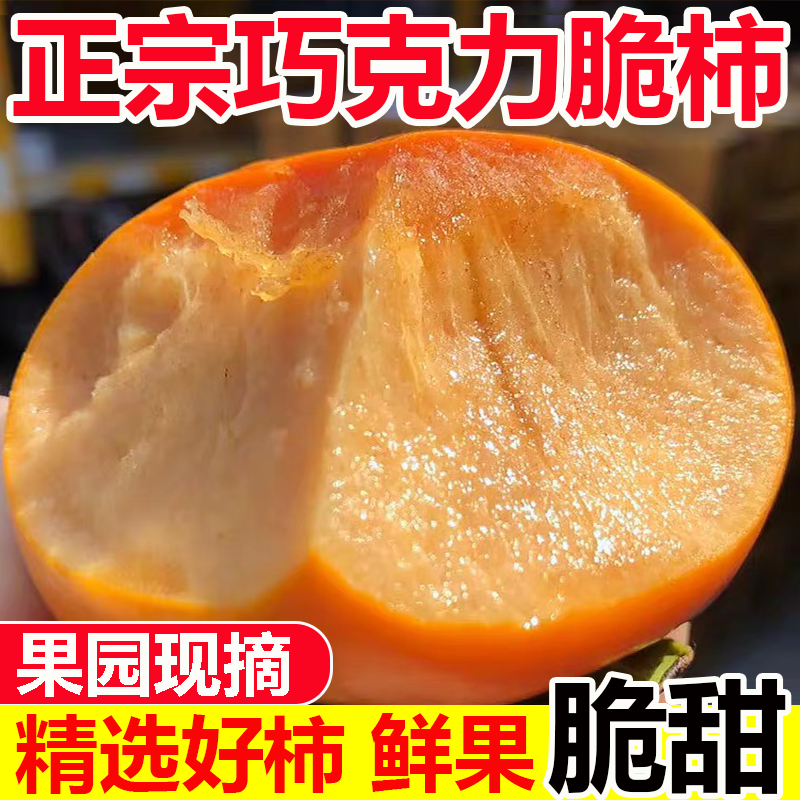 【果园直发】正宗阳丰巧克力脆柿甜脆柿子新鲜水果现摘4.5斤 到手价¥9.90