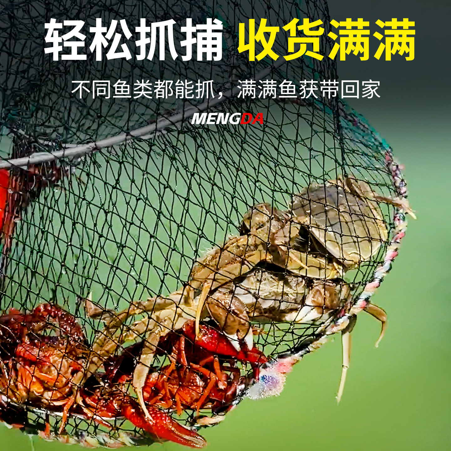 甲鱼笼黑鱼笼螃蟹抓鱼虾地网笼折叠捕鱼花篮鱼笼捕蟹笼抓螃蟹的笼 图片 8