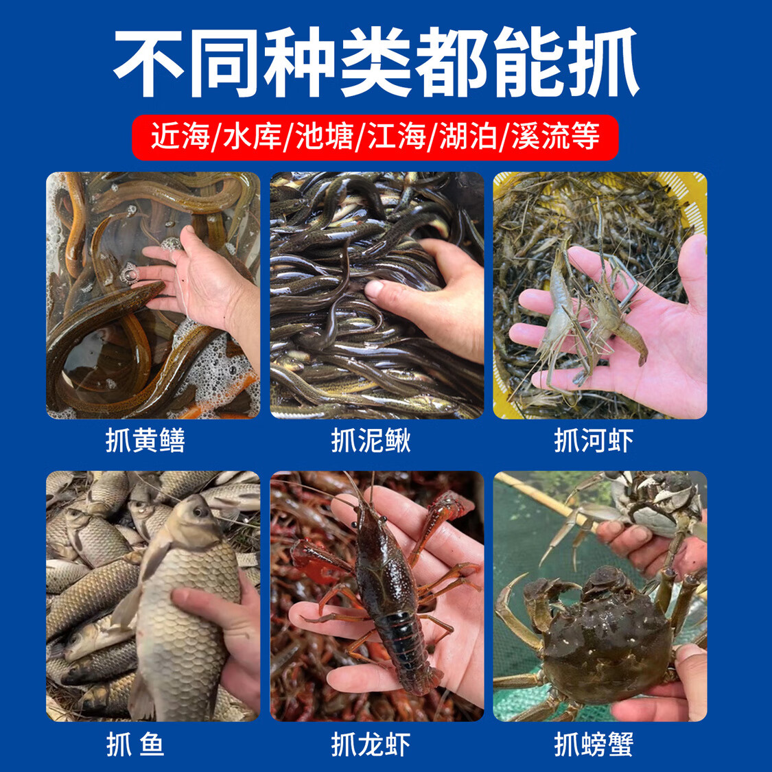 甲鱼笼黑鱼笼螃蟹抓鱼虾地网笼折叠捕鱼花篮鱼笼捕蟹笼抓螃蟹的笼 图片 5