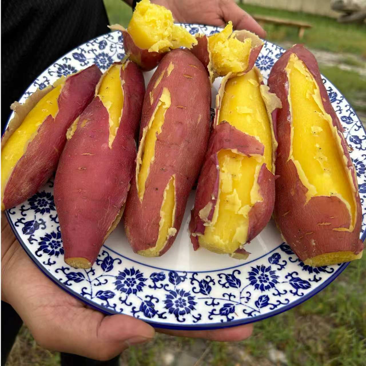 [宁夏高原红板栗薯]正宗沙地高原板栗红薯粉糯香甜宝宝辅食5/9斤 图片 6