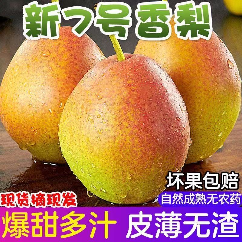 【发净重4.5斤】2026山西新鲜红香酥梨5斤装七月红梨 到手价¥11.90
