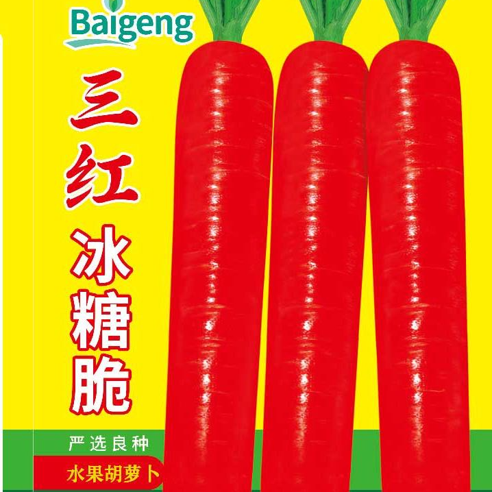 三红冰糖脆胡萝卜 图片 2