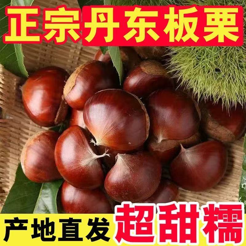 TL【16.8净重4.8斤】现摘正宗丹东板栗栗子新鲜油栗大果带壳 到手价¥16.80