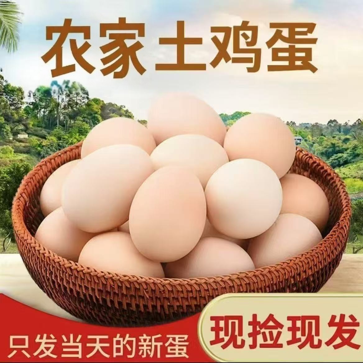 ZH农家新鲜现捡现发土鸡蛋 到手价¥36.90