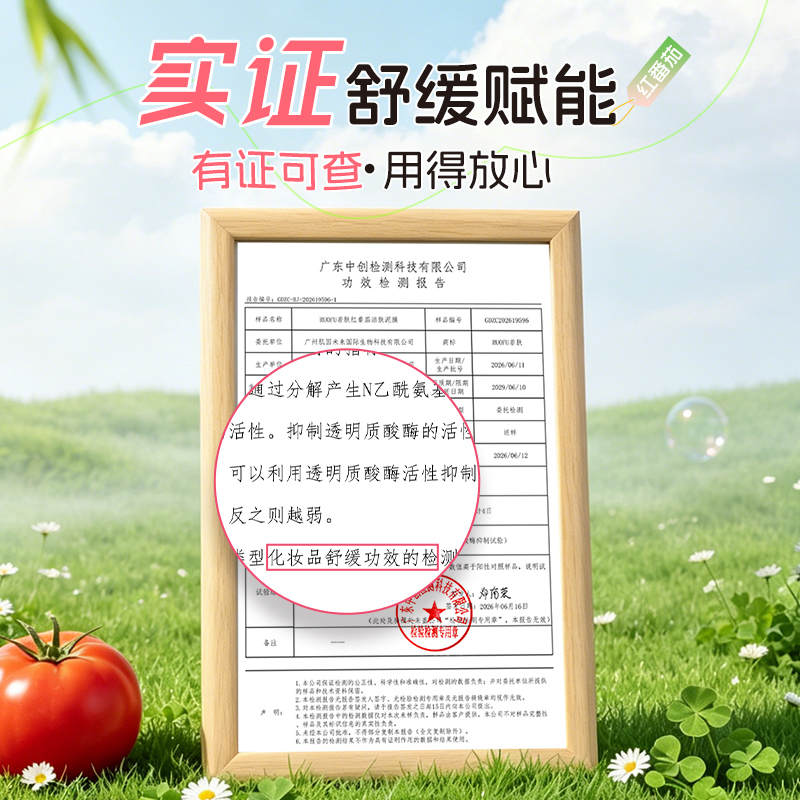 【ally推荐】红番茄洁面泥膜深层去角质清洁毛孔提亮肤色洗面奶 图片 5