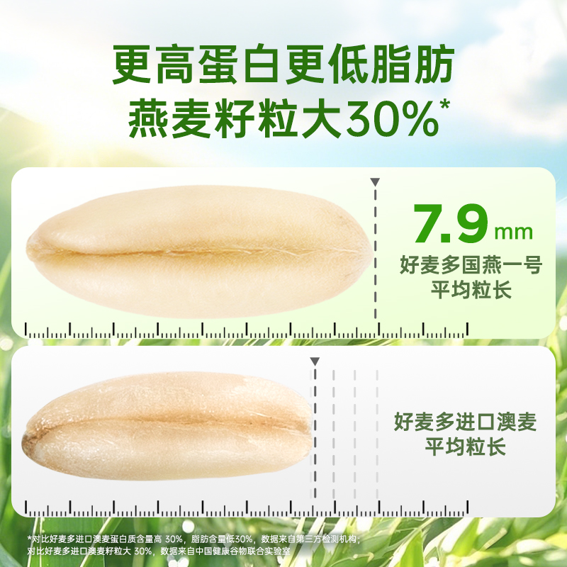 好麦多国燕一号有机燕麦片420g高蛋白营养早餐麦片DB 图片 6