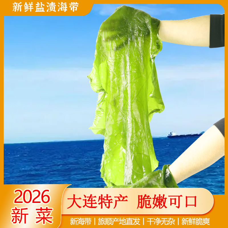【主播优选】2026年大连旅顺盐渍整颗鲜海带 净含量4.6斤 到手价¥11.80