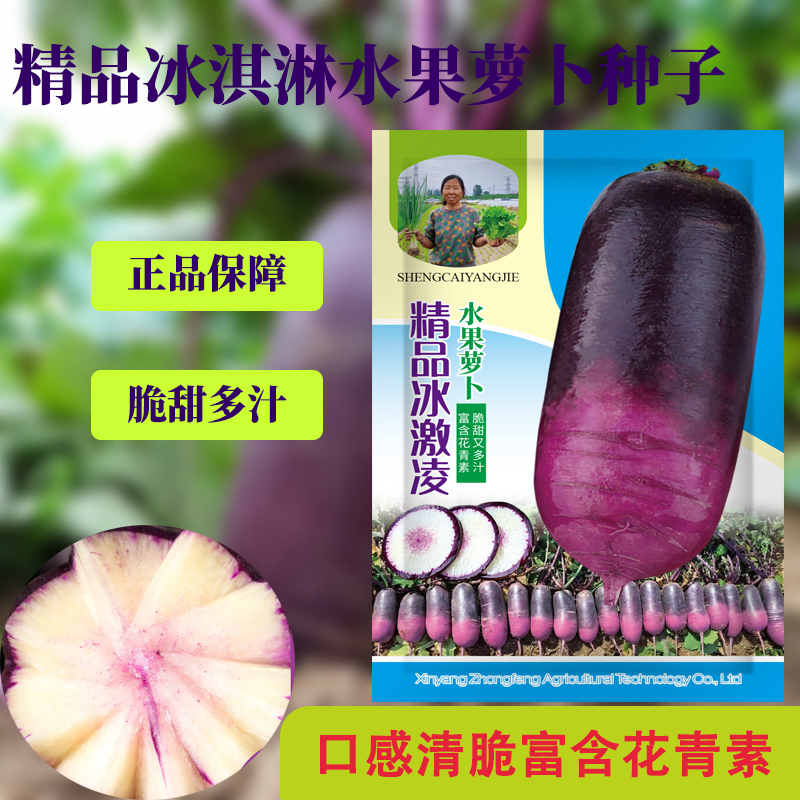 【生菜杨姐推荐】精品冰淇淋萝卜种子耐寒秋冬季水果萝卜蔬菜种子 到手价¥25.80