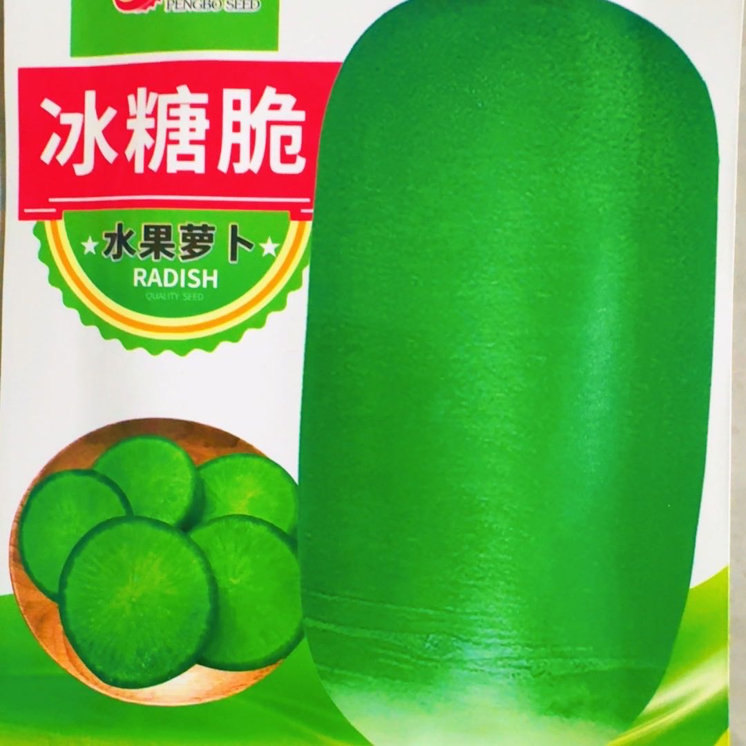 冰糖脆水果萝卜种子 图片 2