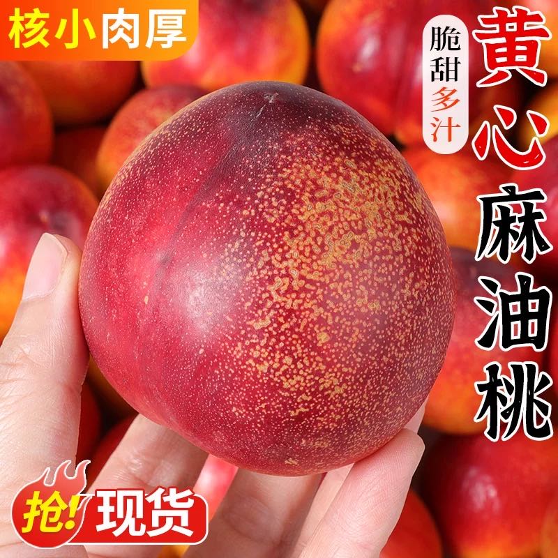 4.6-5斤 陕西麻点红油桃 硬吃脆甜 软吃软糯香甜【小周专属】 到手价¥26.60