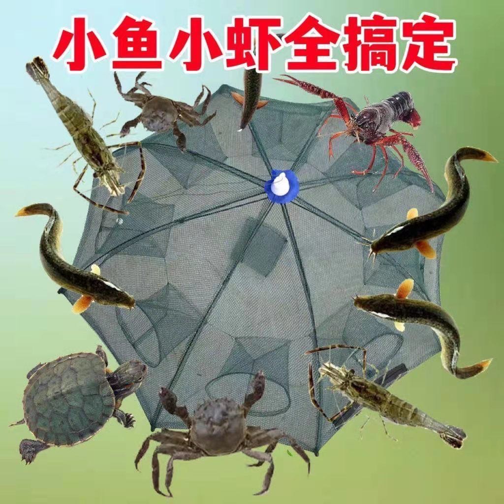 虾笼网鱼捕鱼笼捕鱼网自动神器螃蟹渔网黄鳝泥鳅渔具笼伞笼龙虾 图片 1