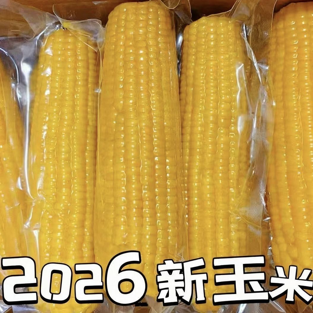 SH【14.9抢12根】黄糯玉米香甜软糯真空包装新鲜代餐粘糯黄玉米 到手价¥14.90