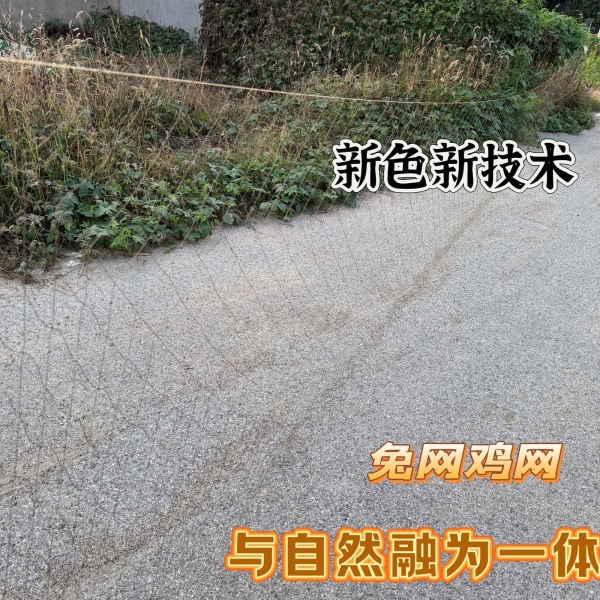 户外玉米大豆地兔子专用围网拦兔养鸡网果园防护网种菜大棚万能网 到手价¥14.80
