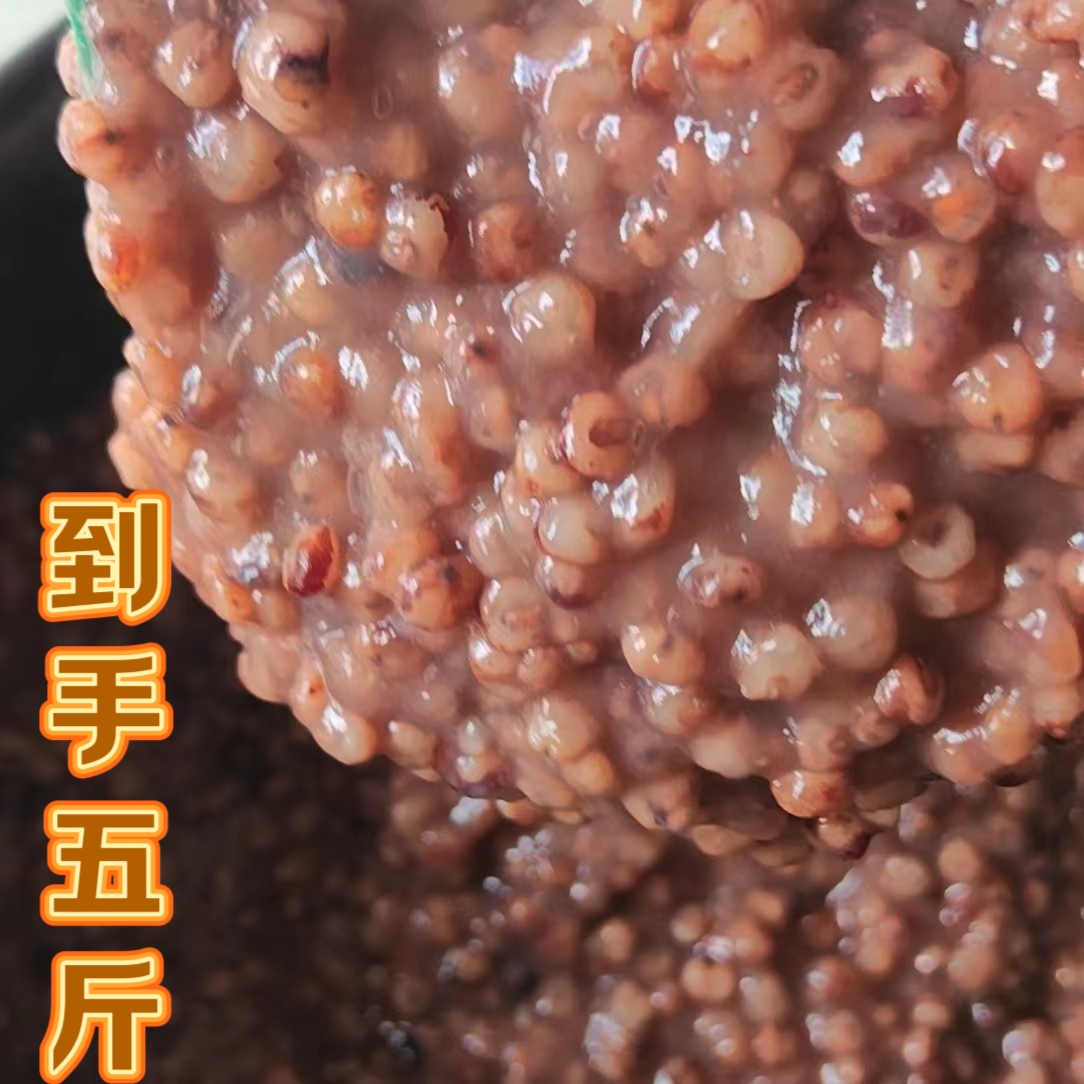 袋装燕之希红糯粘高粱米粗粮杂粮 家庭装五斤装 ML 到手价¥15.90