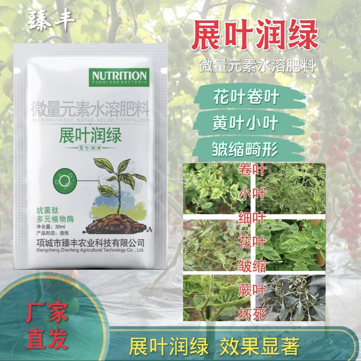 展叶润绿 番茄黄瓜辣椒黄叶花叶卷叶小叶 图片 1