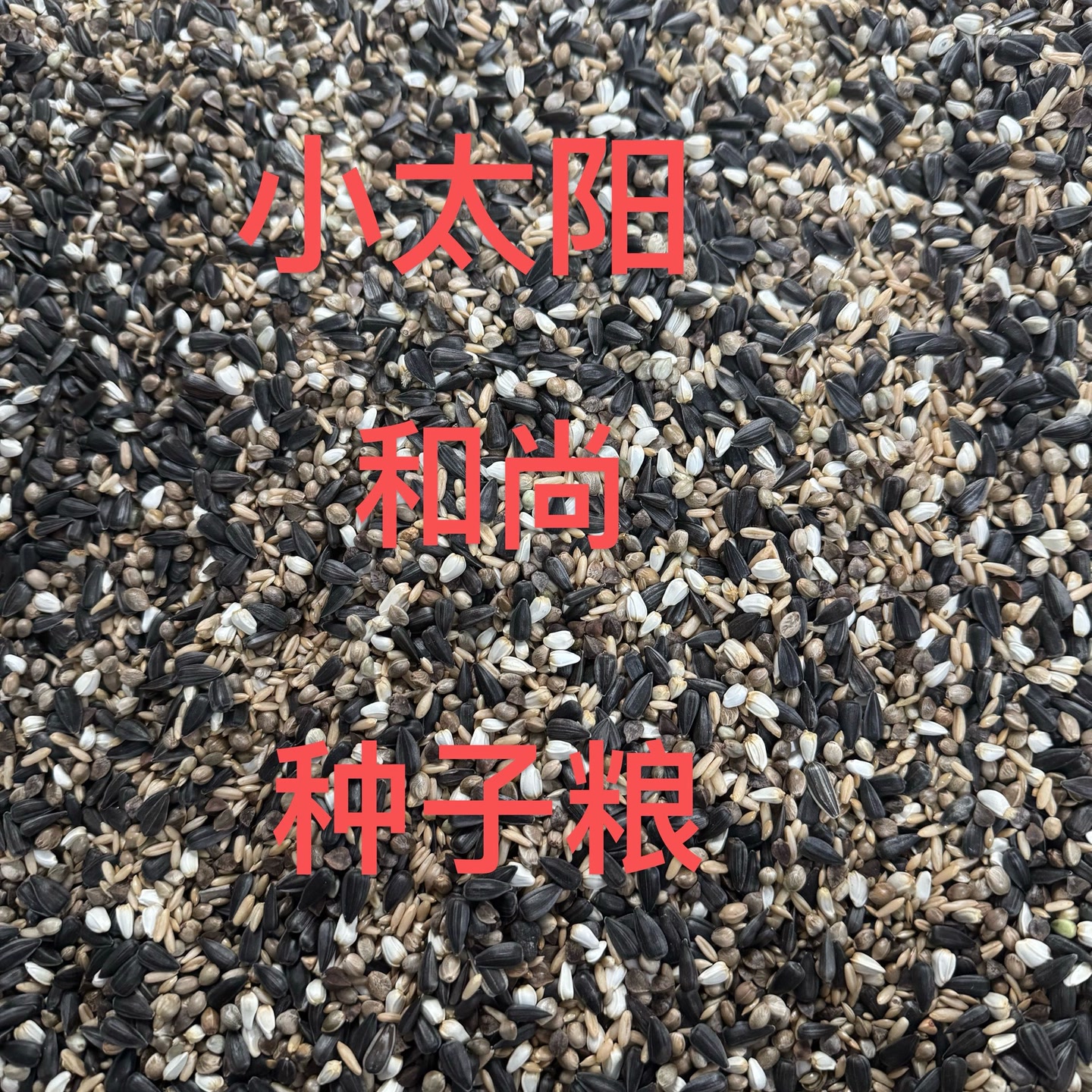 小太阳和尚鹦鹉混合粮油葵3加纳1红花1荞麦1燕麦2麻子2成 图片 2