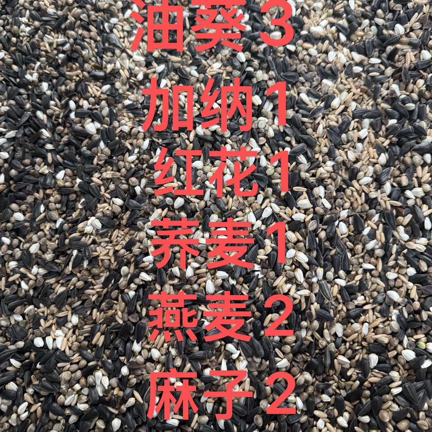 小太阳和尚鹦鹉混合粮油葵3加纳1红花1荞麦1燕麦2麻子2成 图片 5